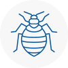 Bed Bug Extermination In Market Harborough