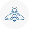 Bee Nest Removal Market Harborough