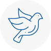 Bird Prevention Market Harborough