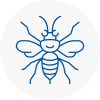 Market Harborough Hornet Nest Removals