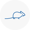Mice Exterminators In Market Harborough
