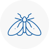 Moth Control Specialists In Market Harborough