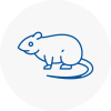 Rat Control Market Harborough