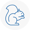 Market Harborough Rodent Removals